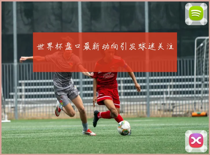 世界杯盘口最新动向引发球迷关注