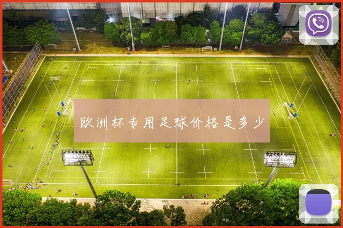 欧洲杯专用足球价格是多少