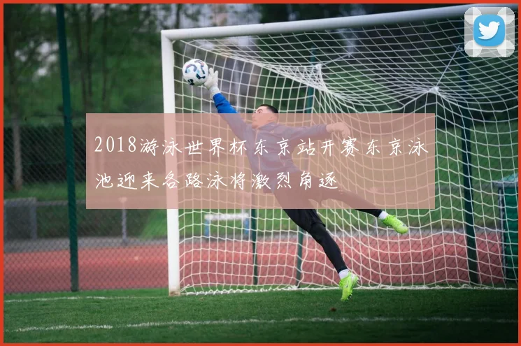 2018游泳世界杯东京站开赛东京泳池迎来各路泳将激烈角逐