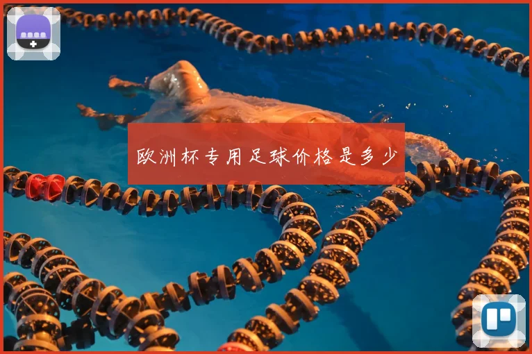 欧洲杯专用足球价格是多少