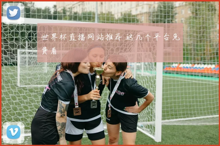 世界杯直播网站推荐 这几个平台免费看