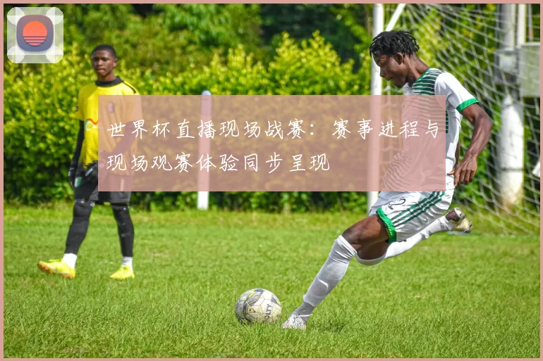 世界杯直播现场战赛：赛事进程与现场观赛体验同步呈现