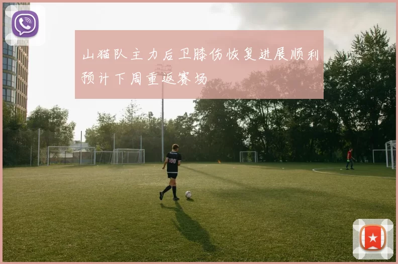 山猫队主力后卫膝伤恢复进展顺利预计下周重返赛场