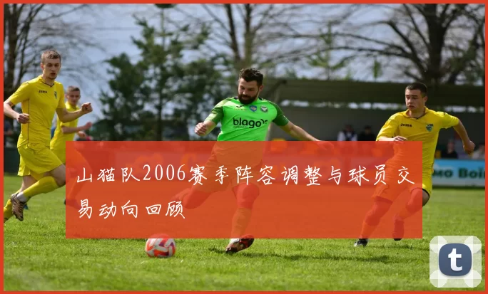 山猫队2006赛季阵容调整与球员交易动向回顾